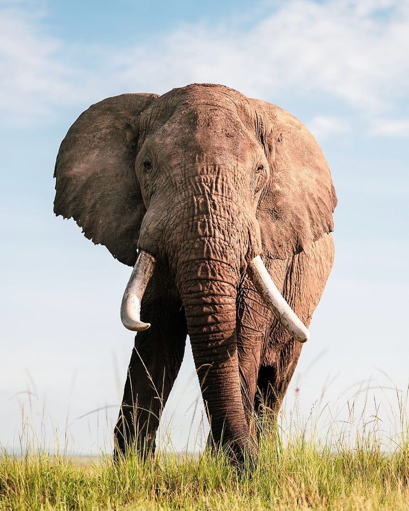 Kruger National Park